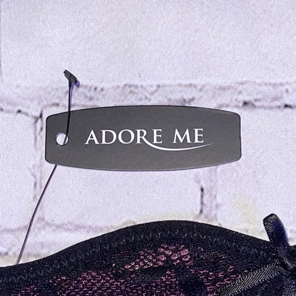 NWT- ADORE ME SEXY MESH/LACE INLAY PANTY SZ XL - Picture 6 of 8